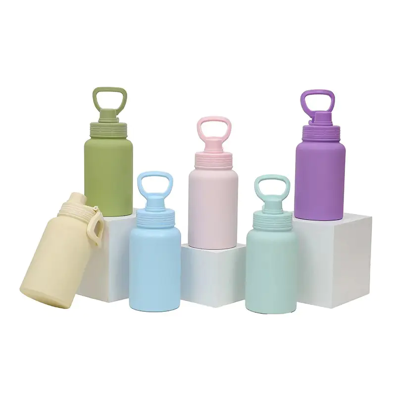 Insulated Bottle with Handle